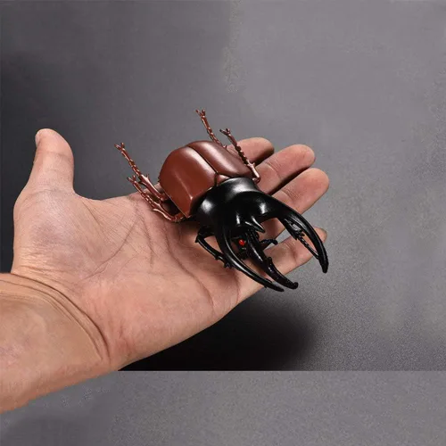 Miniatura 2 de Paquete de 6 juguetes de modelo de escarabajo realistas, colección de figuras de insectos realistas falsas, juguetes educativos de aprendizaje