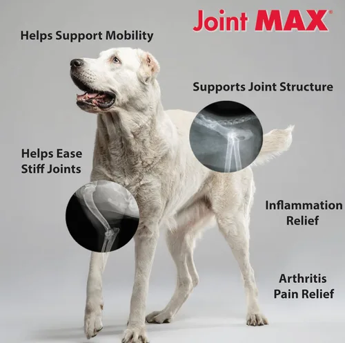Miniatura 5 de Gránulos de triple fuerza HA para perros, glucosamina, condroitina, creatina, MSM y antioxidantes, suplemento de apoyo para cadera y articulaciones