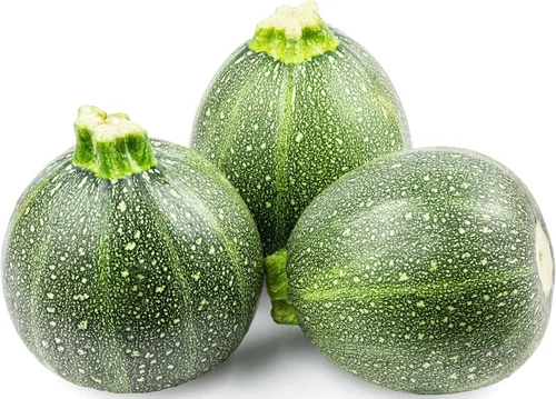 30 semillas redondas de calabacín para plantar, semillas tradicionales sin OMG, cultivadas en Estados Unidos en embalaje impermeable prémium con