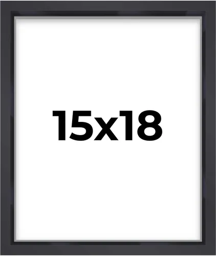 Miniatura 49 de Marco contemporáneo de caja de sombra negra de 14 x 25 pulgadas, profundidad de espacio utilizable, tamaño interior 14 x 25 o 25 x 14 pulgadas