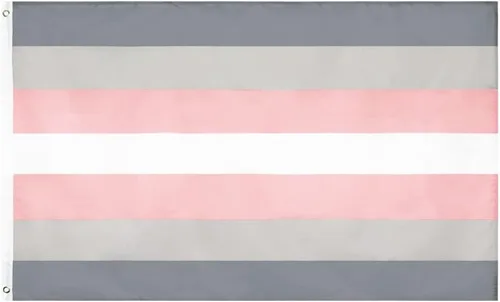 Flaglink Bandera del orgullo Demigirl de 3 x 5 pies - Cartel de género LGBTQIA Demi para mujer Demisexualgirl
