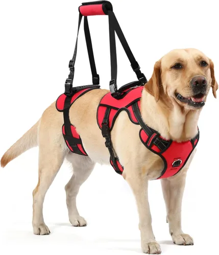 Miniatura 8 de Arnés de elevación para perros NOYAL para mascotas mayores y lesionadas – Arnés de soporte de cuerpo completo con malla transpirable, asistencia