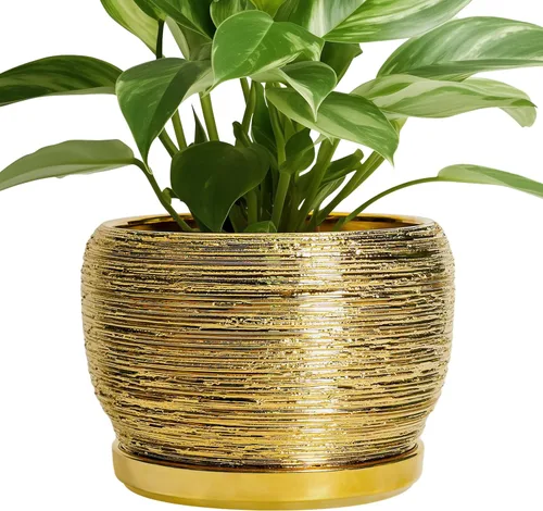 Miniatura 12 de SQOWL Macetas de cerámica – Maceta de 6 pulgadas con orificio de drenaje y bandeja, maceta redonda para plantas de interior, maceta decorativa