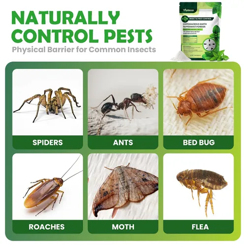 Miniatura 4 de Polvo de tierra de diatomeas de grado alimenticio y menta para el control de insectos y plagas rastreras – 1 lb
