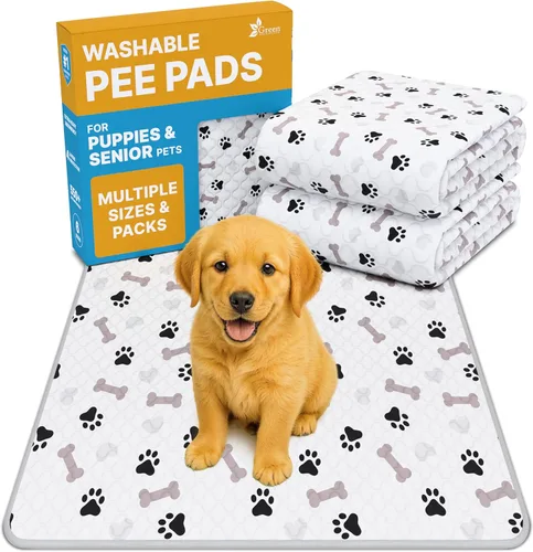 GREEN LIFESTYLE Almohadillas lavables para orinar para perros (paquete de 2, 30 x 34), altamente absorbentes, lavables a máquina, almohadillas