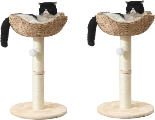 Miniatura 13 de SHENGOCASE Torre de árbol para gatos con cesta de mimbre de ratán, cama grande tejida a mano, percha de ventana para gatos grandes de hasta 20 libras