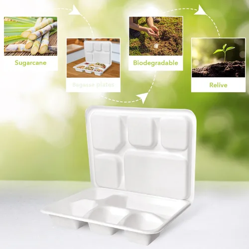 Miniatura 4 de three leaf Bandeja de comida con tapa de 5 compartimentos, 200 juegos. Bandeja de bagazo desechable resistente y ecológica con tapa, platos 100% 5