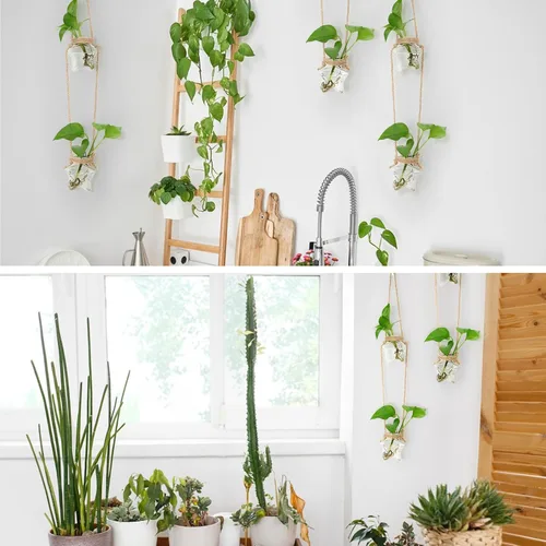 Miniatura 3 de XXXFLOWER Estación de propagación para colgar en la pared, florero de cristal en forma de estrella de 2 niveles para maceta hidropónica, terrario