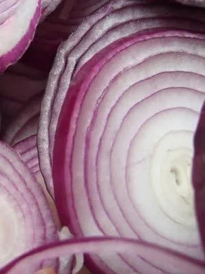 Miniatura 2 de Semillas de verduras de cebolla roja criolla de gran reliquia (1,200 semillas)