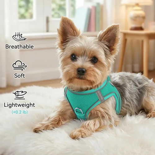 Miniatura 4 de Joytale Arnés para perro pequeño, chaleco de malla transpirable, arnés acolchado suave reflectante para perro de tamaño pequeño para caminar, verde