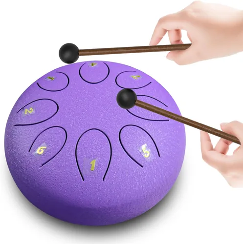 REGIS Tambor metálico de lengüetas, de acero, 6 pulgadas, 8 notas musicales, instrumento de percusión, tambor de lluvia para exteriores, regalo