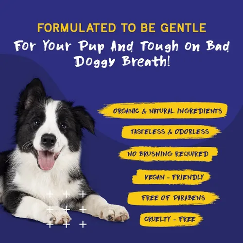 Miniatura 6 de PupGrade Solución de aditivo de agua para el cuidado dental - Cuidado bucal avanzado para perros - Enjuague dental para aliento fresco para luchar