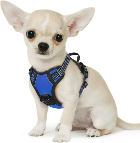 Miniatura 30 de Eagloo Arnés para perro pequeño, sin tirones, chaleco de servicio con tiras reflectantes y asa de control, ajustable y cómodo para caminar, arnés