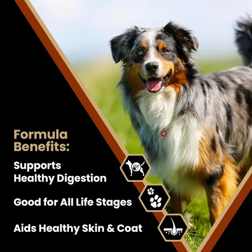 Miniatura 2 de VICTOR Super Premium Comida para Perros – Harina de pollo y arroz integral para todos los perros normalmente activos de todas las etapas de la vida