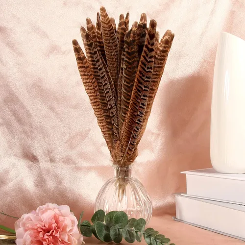 Miniatura 6 de THARAHT 24 plumas de faisán femenino, plumas naturales de 6 a 8 pulgadas, 5.9-7.9 in para manualidades, hogar, boda, fiesta, actuación, decoración