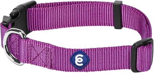 Miniatura 15 de Blueberry Pet Essentials - Collar ajustable para perro en turquesa Collares para perros medianos y grandes Nylon ecológico para cachorros machos
