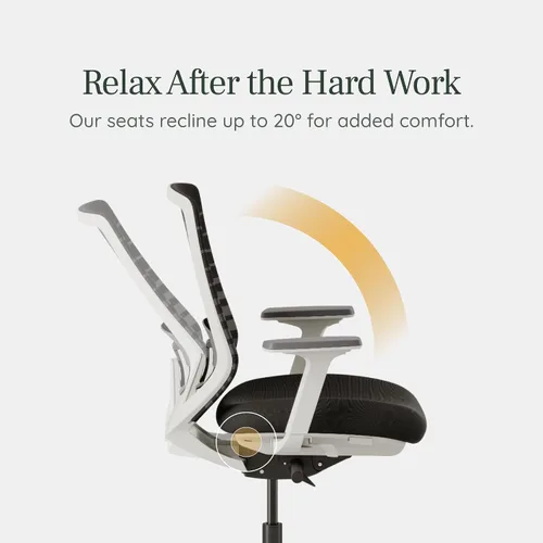 Miniatura 7 de Silla ergonómica Branch - Una silla de escritorio versátil con soporte lumbar ajustable, respaldo de malla transpirable y ruedas suaves - Grafito