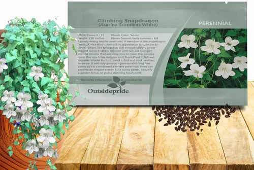 Miniatura 9 de Outsidepride Mix Asarina Climbing Snapdragon Seeds - 100 semillas de flores perennes para plantar, enredaderas trepadoras fáciles de cultivar
