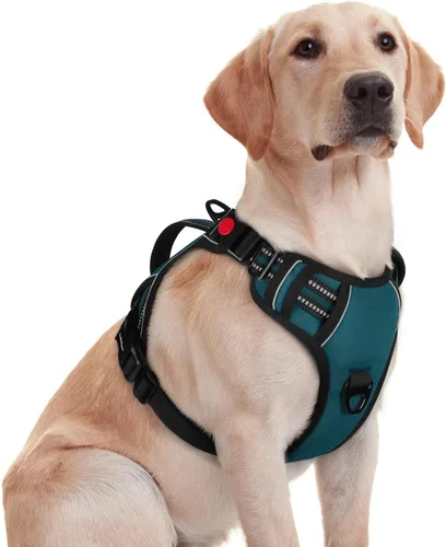 Miniatura 39 de rabbitgoo Arnés para perro de tamaño pequeño, arnés para mascotas sin tirones con mango acolchado suave, chaleco reflectante ajustable con 3