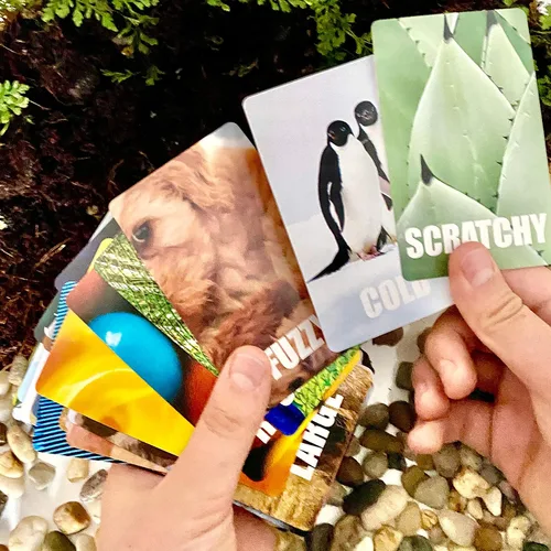Miniatura 4 de Juego de cartas de búsqueda del tesoro de Hapinest, actividades de interior y exterior para niños, bebés y familia, juegos de playa, camping, viajes