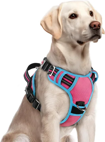 Miniatura 10 de rabbitgoo Arnés para perro de tamaño pequeño, chaleco para perro sin tirones con 3 hebillas, arnés ajustable y acolchado suave para mascotas con asa