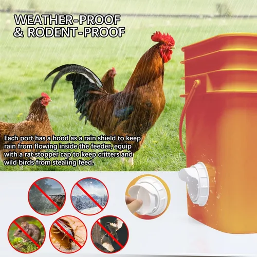 Miniatura 4 de Comedero de pollo para bricolaje, sin residuos, 6 unidades de puerto automático de alimentación para aves de corral con tapón y sierra de agujero