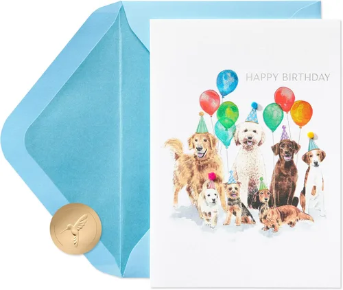 Miniatura 9 de Papyrus Tarjeta de cumpleaños para perros (Celebrating You Today)