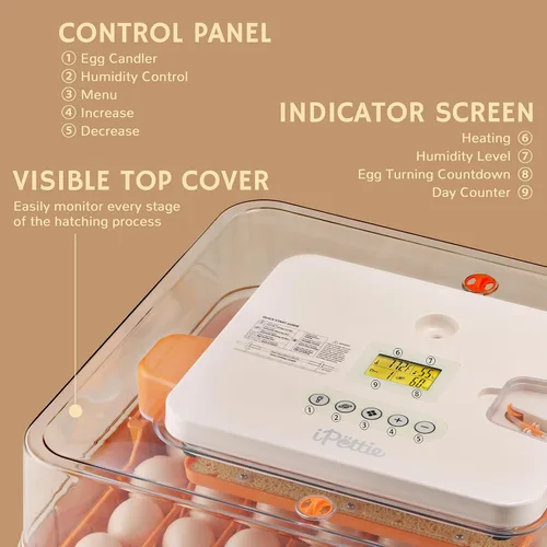Miniatura 3 de iPettie Nestasy ProHatch56 - Incubadora de huevos con giro automático de huevos y control de temperatura y humedad, capacidad para 56 huevos