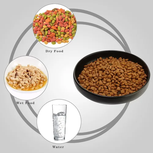Miniatura 4 de Cuencos de cerámica para gatos - Platos poco profundos para comida y agua, tazón ancho de 6 pulgadas con acabado mate para comida de gatos, juego