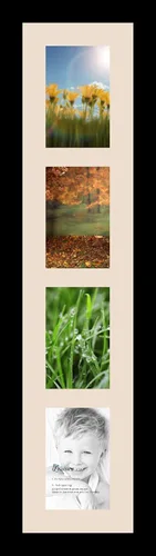 Miniatura 25 de Marco para fotos de ArtToFrames, 4 aberturas de 5′ x 7′ y marco negro satinado, de ArtToFrames, Madera, negro 4 - 8x10 - (2131)