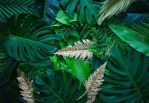 Miniatura 2 de Papel tapiz verde tropical, 108 x 75 pulgadas, hoja de selva mural de pared para dormitorio, sala de estar, guardería (no se pega ni se pega)
