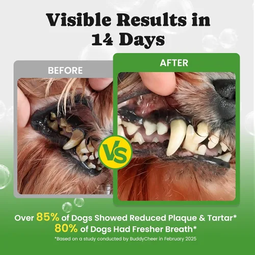 Miniatura 2 de Polvo de limpieza dental para perros, polvo dental para perros y refrescante de aliento para gatos, eliminador de placa para limpieza de dientes