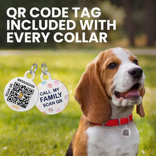 Miniatura 4 de Collar de cuero enrollado para perro, diseño redondo suave que evita enredos y enmarañe con etiqueta de identificación para perros pequeños, Hebilla
