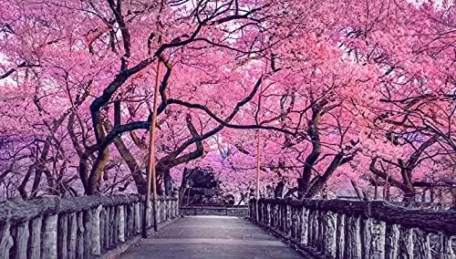 10 semillas de árbol de Sakura - Cultivar al aire libre o bonsái