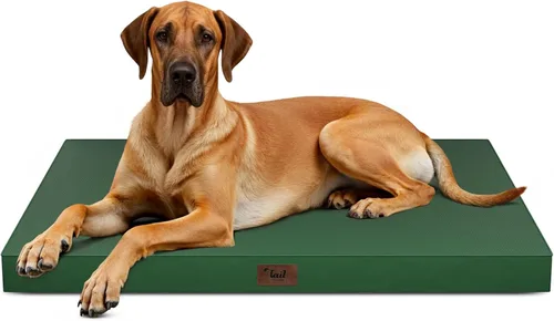 Miniatura 107 de Cama ortopédica de felpa para perros y cachorros medianos, camas impermeables para perros de 30 x 20 pulgadas con funda extraíble lavable, tapete