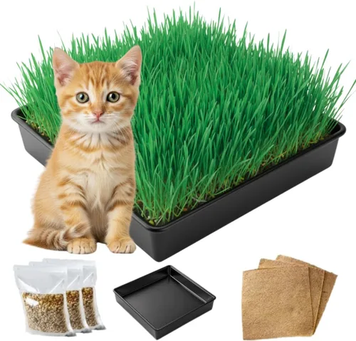 Miniatura 8 de Kit de cultivo de hierba para gatos, semillas orgánicas, tapetes de cultivo de yute, contenedor de cultivo de 10 x 10 pulgadas, ideal para gatos