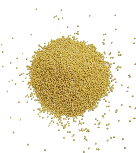 Miniatura 7 de Mijo orgánico cultivado en Estados Unidos, semillas de grano entero sin OMG descascarillado sin gluten crudo a granel