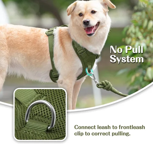 Miniatura 2 de Arnés sin tirones para perros pequeños, medianos y grandes, chaleco de malla ajustable de 2 capas con doble clip, a prueba de escapes, liberación