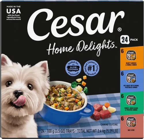 Cesar - Paquete de 24 latas de alimento húmedo para perro, diferentes sabores gourmet, olla de asado y más