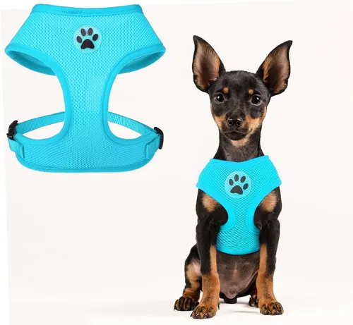 Miniatura 26 de BINGPET Arnés para perro sin tirones, arnés de chaleco tipo step-in de malla para todo clima para perros pequeños, arnés de malla transpirable