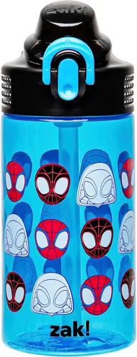 Zak Designs Marvel Spider-Man - Botella de agua Sage para la escuela o viajes, botella de agua de plástico duradero de 16 onzas con popote, asa y