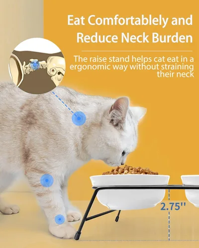 Miniatura 2 de Cuencos elevados antivómitos para gatos, 2 cuencos de cerámica para alimentos y agua para gatos de 13 onzas con soporte de acero inoxidable blanco