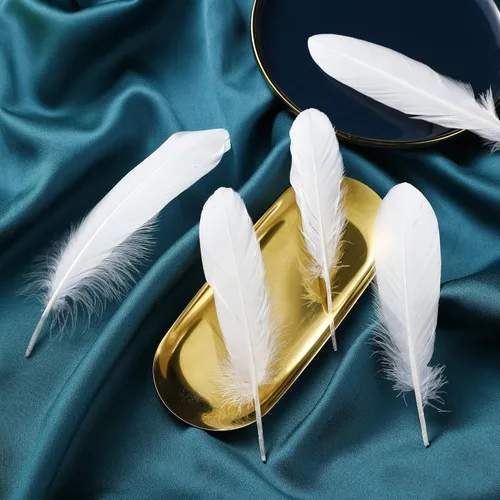 Miniatura 6 de Ballinger 8-12 pulgadas, 4 estilos, 24 plumas de faisán surtidas y 120 plumas de ganso blancas de 6 a 8 pulgadas para manualidades, jarrón