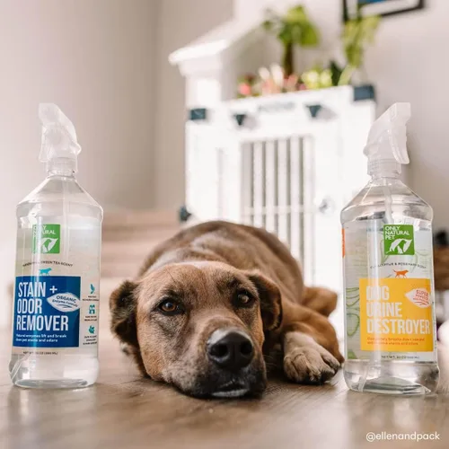 Miniatura 7 de Only Natural Pet - Removedor de manchas y olores con base en enzimas, fórmula derivada de plantas para perros – Funciona en madera dura, alfombra