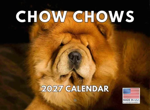 Miniatura 19 de Calendario de pared mensual 2025 Great Dane de 12 meses, fabricado en Estados Unidos