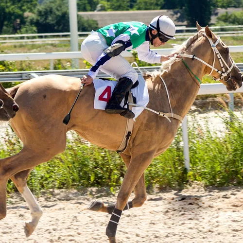 Miniatura 3 de Keedolla Cultivo inglés de 18 pulgadas con correa para la muñeca, látigo de caballo para equitación, bate ecuestre para entrenamiento, torneo