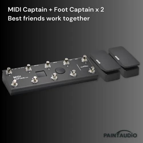 Miniatura 5 de Paint Audio Interruptor de pie Capitán Dual Salidas Pedal de expresión Multi-efectos Compatible para conexión punta/anillo