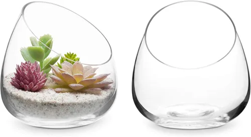 MyGift Terrario de Vidrio Transparente Premium de 5 Pulgadas para Plantas Aéreas, Portavelas de Té, Jarrón para Plantas Suculentas y Cactus, Juego