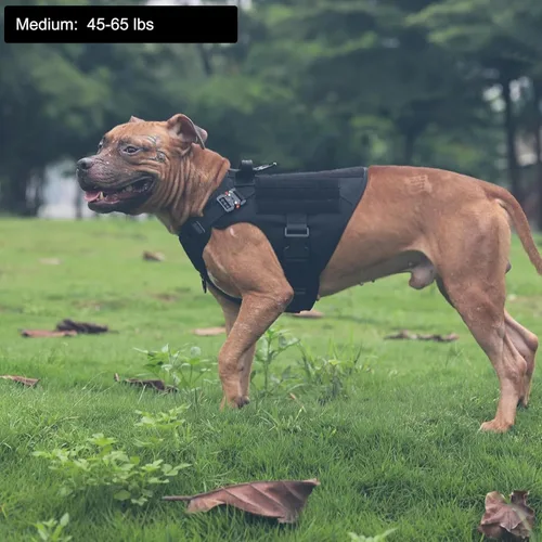 Miniatura 2 de ICEFANG Arnés táctico para perro, tamaño mediano, 2 hebillas de metal, chaleco Molle para perro de trabajo con asa, clip de correa frontal