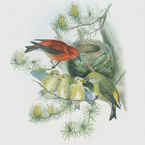 Miniatura 12 de Canguros australianos John Gould Counted Patrón de punto de cruz